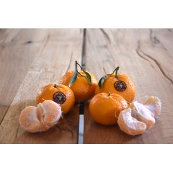 Mandarins Ciaculli